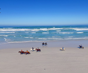 BEACHES ARE OPEN AGAIN