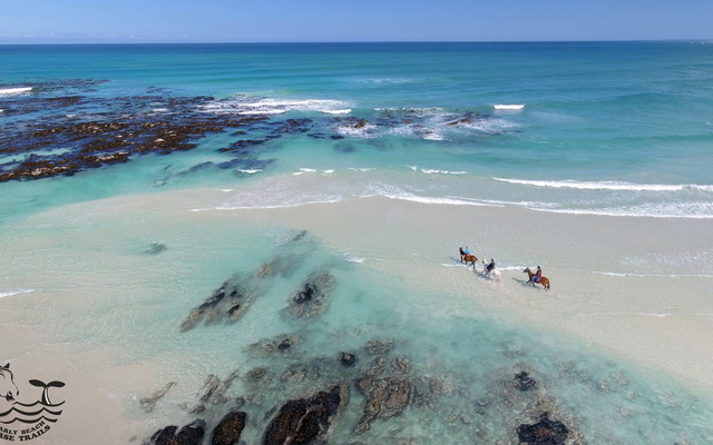 Gansbaai & Pearly Beach Horse Trails