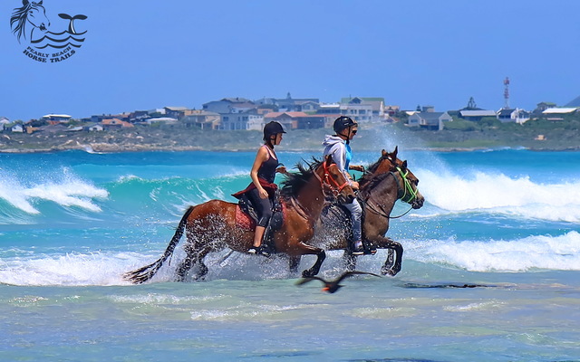 Gansbaai & Pearly Beach Horse Trails