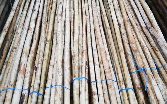 Fynbos_Pole_Depot_3_1612534656