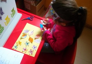 Fundraising Programme