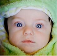 Sam leef egter voort in The Butterfly Centre