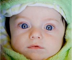 Sam leef egter voort in The Butterfly Centre