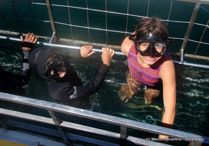 Daily Blog 06 February 2021 | Shark Cage Diving in South Africa