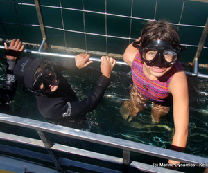 Daily Blog 06 February 2021 | Shark Cage Diving in South Africa