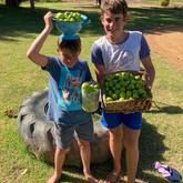 Oes van die vyeboom op Paardenberg - Beloftebos Farm Cottages - Xplorio™ Stanford