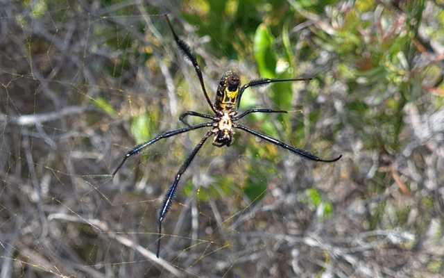 WhatsApp_Image_2021_02_22_at_11.16.54_1_1613990756