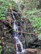 Exploring the hills and valleys surrounding Gansbaai!