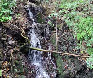 Exploring the hills and valleys surrounding Gansbaai!