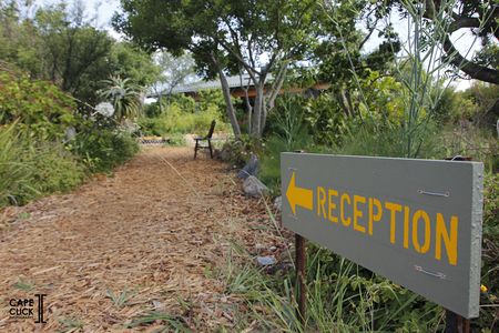 23._Sandberg_Fynbos_Reserve_12.18.18_CAPECLICK_1613993297