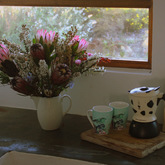 Kitchen - Vleiroos Cottage @ Sandberg Fynbos Reserve - Xplorio™ Gansbaai