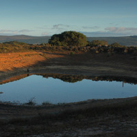 Swimming Dam Near Cottage - Vleiroos Cottage @ Sandberg Fynbos Reserve - Xplorio™ Gansbaai