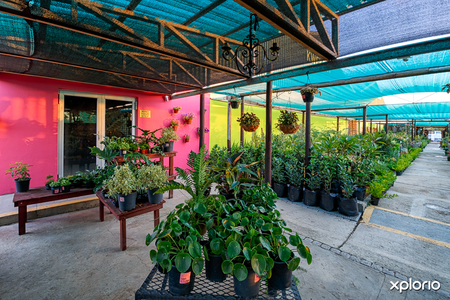 stanford_businesses_home_and_garden_nurseries_interior_08_low_r_1614066686