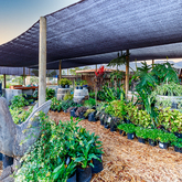 Outside View - Riverland Garden Centre - Xplorio™ Stanford