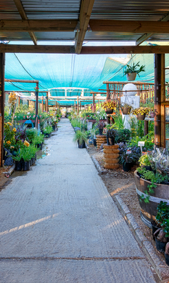 stanford_businesses_home_and_garden_nurseries_interior_05_low_r_1614068668