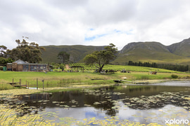 Explore Stanford Hills