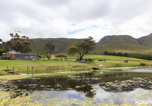 Explore Stanford Hills