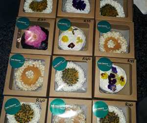 Daily Freshly Baked Cakes