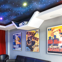 Plays - Vidi Vox - Xplorio™ Hermanus