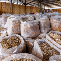 Pine Wood Shavings - Agulhas Biomass Fuel - Xplorio™ Bredasdorp