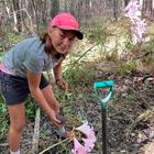 March Lilies - Beloftebos Farm Cottages - Xplorio™ Stanford