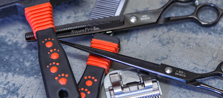 animal_pet_care_pet_parlourclaws_and_paws_3_LowRez_1614756690