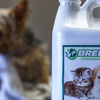 Pet Products - Claws & Paws - Xplorio™ Gansbaai