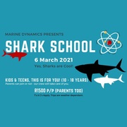 Shark School - 6 March 2021
