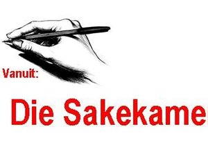 Vanuit die Gansbaai Sakekamer