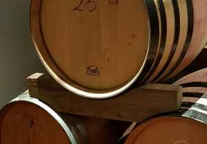 2019 Welgesind Shiraz