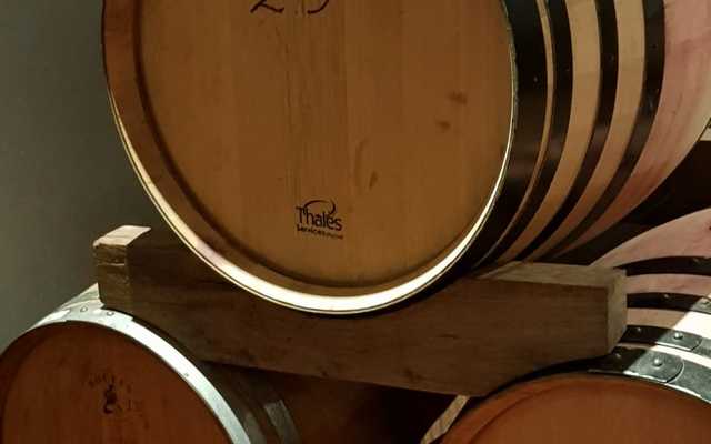 WhatsApp_Image_2021_03_08_at_09.11.19_1__1615188653