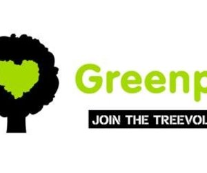 The Reforest Fest at Platbos Forest