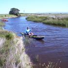Nuwejaars River for Canoeing and Birding - Agulhas National Park - Xplorio™ L'Agulhas Nuwejaars River for Canoeing and Birding - Agulhas National Park - Xplorio™ L'Agulhas