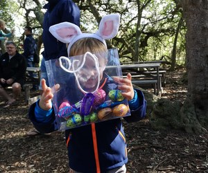 4 April 2021: Easter Egg Hunt in the Forest