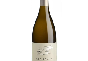 Wine & Co, Hermanus - a long weekend, and wine from The Ridge...