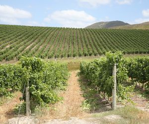 3 April 2021: Wine Walk