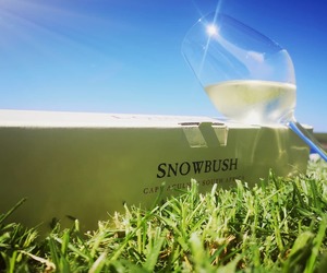 Snowbush 2007 - Limited Edition