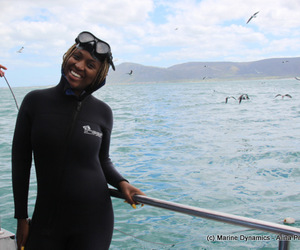 Daily Blog: 21 March 2021 | Shark Cage Diving in South Africa