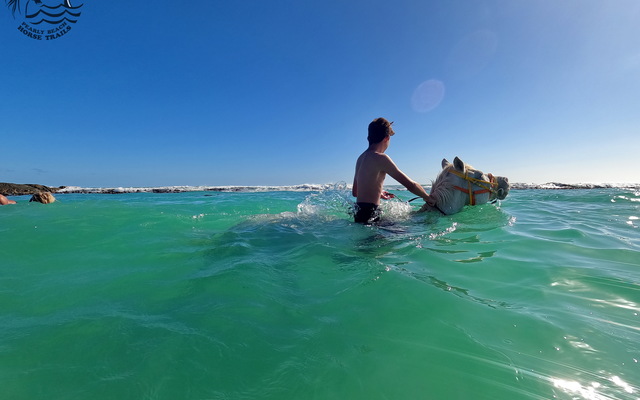 Gansbaai & Pearly Beach Horse Trails