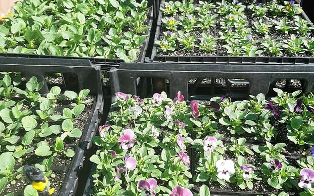 164609742_272931644482028_354436407155571575_n_1616670532