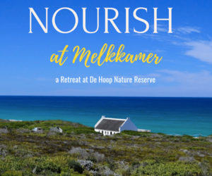De Hoop Collection’s Nourish Retreat