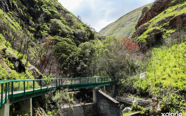 bettys_bay_things_to_do_harold_porter_botanical_garden_bridge_1572354930_1_1617099620