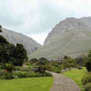 bettys_bay_things_to_do_harold_porter_botanical_garden_foot_path_mountain_1572352677_1617099618