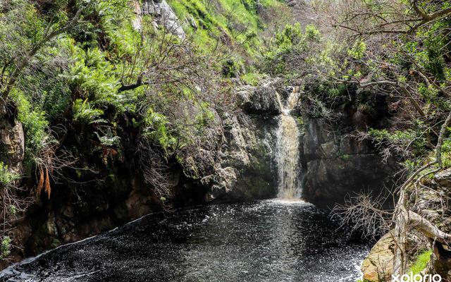 bettys_bay_things_to_do_harold_porter_botanical_garden_waterfall_1572353061_1_1617099619