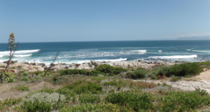 699 m² Vacant Land For Sale in De Kelders - R1,720,000