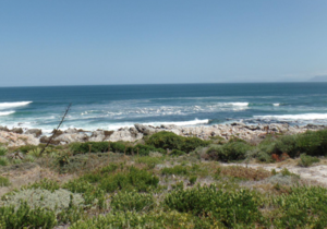 699 m² Vacant Land For Sale in De Kelders - R1,720,000