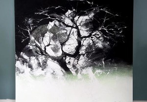 Sun Sea and Soul Exhibition: Open 7 Days a Week