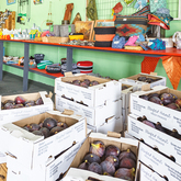 Interior - Synergy Market - Xplorio™ Gansbaai