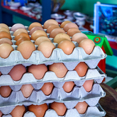 Free-range Eggs - Synergy Market - Xplorio™ Gansbaai