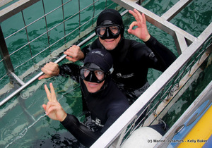 Daily Blog: 05 April 2021 | Shark Cage Diving in South Africa